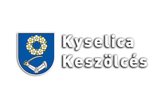 Kyselica